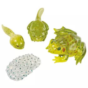 Lebenszyklus-Figuren: Frosch