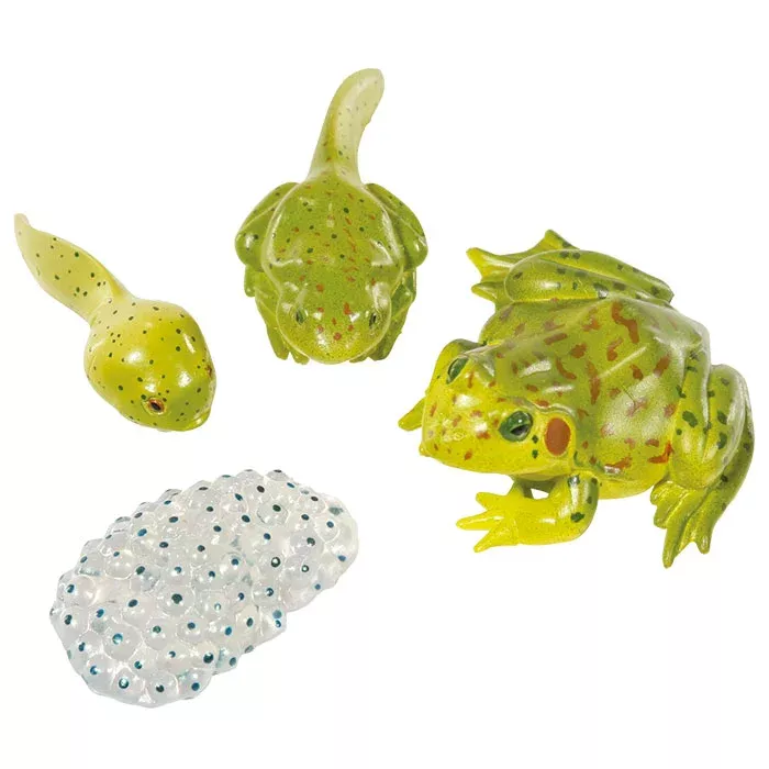 Froschfigur, grüner Frosch, Spielzeugset, Mini-Eier, verzierter Kunstgegenstand