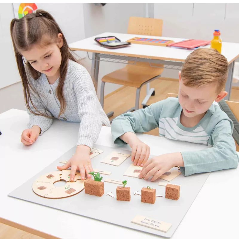 Pflanzen-Lernspiel, Lebenszyklus-Puzzle, Holzpuzzle, Bohnenpflanze, Pflanzwürfel