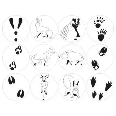 Pfotenabdrücke, Hase, Dachs, Fuchs, Waschbger?