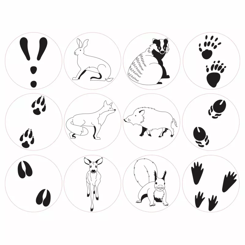 Pfotenabdrücke, Hase, Dachs, Fuchs, Waschbger?