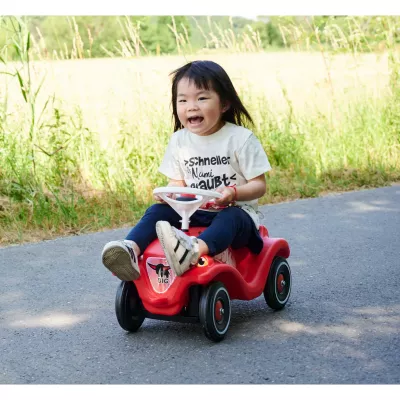 Kinderwagen, Dreirad, Rot, Gurt, Straßenfahrt