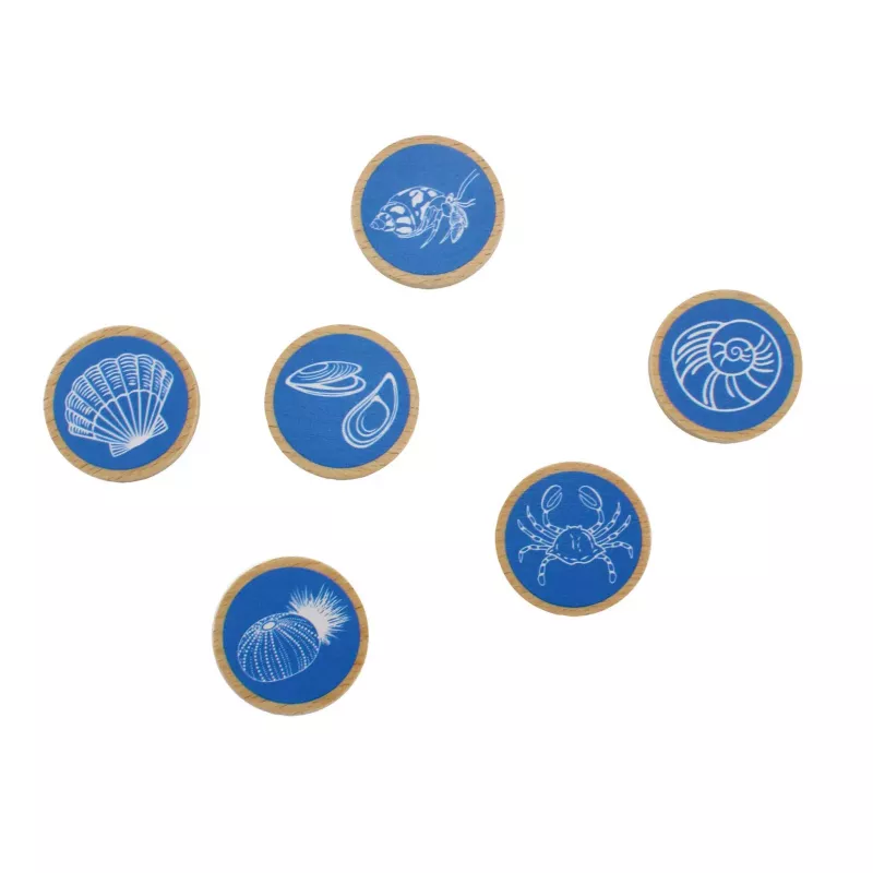 Meereslebewesen, Muschel, Krabbe, Seestern, Muschelset