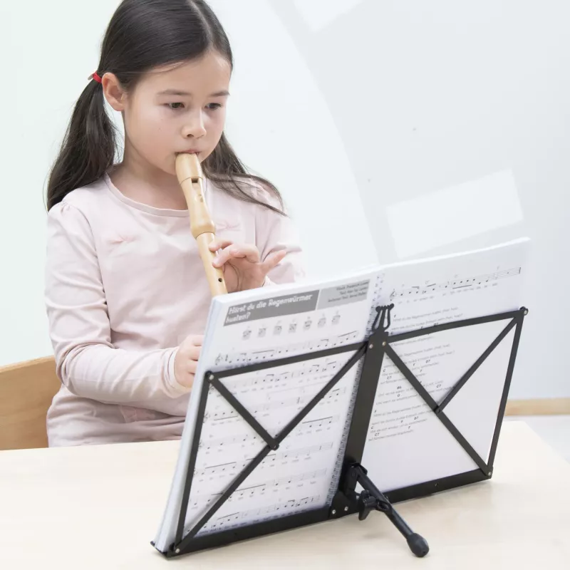 Musikinstrument,  Blockflöte,  Mädchen,  Notenblatt,  Notenständer