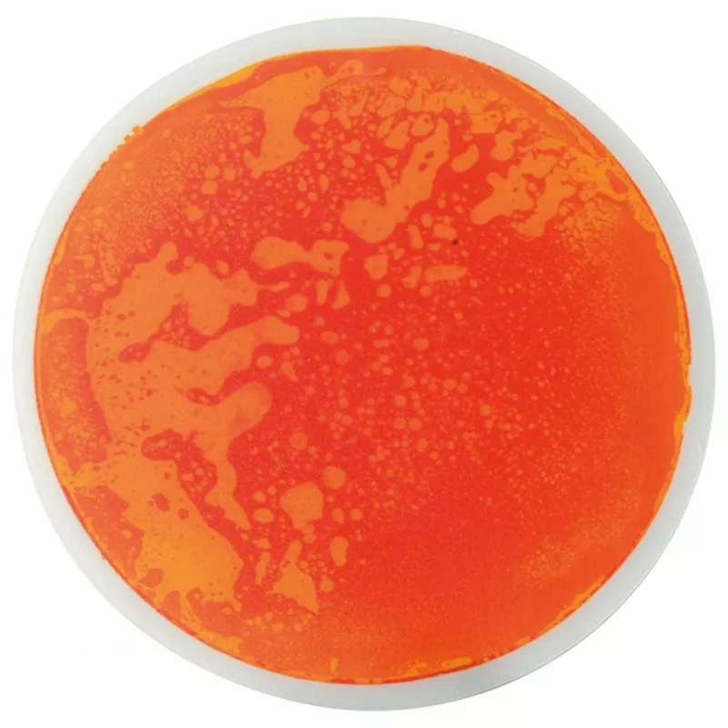 orange, kreis, flüssigkeit, petri-dish, agar