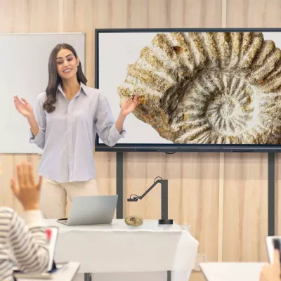 ammonit_fossil, fossil, präsentation, bildschirm, museumsszene