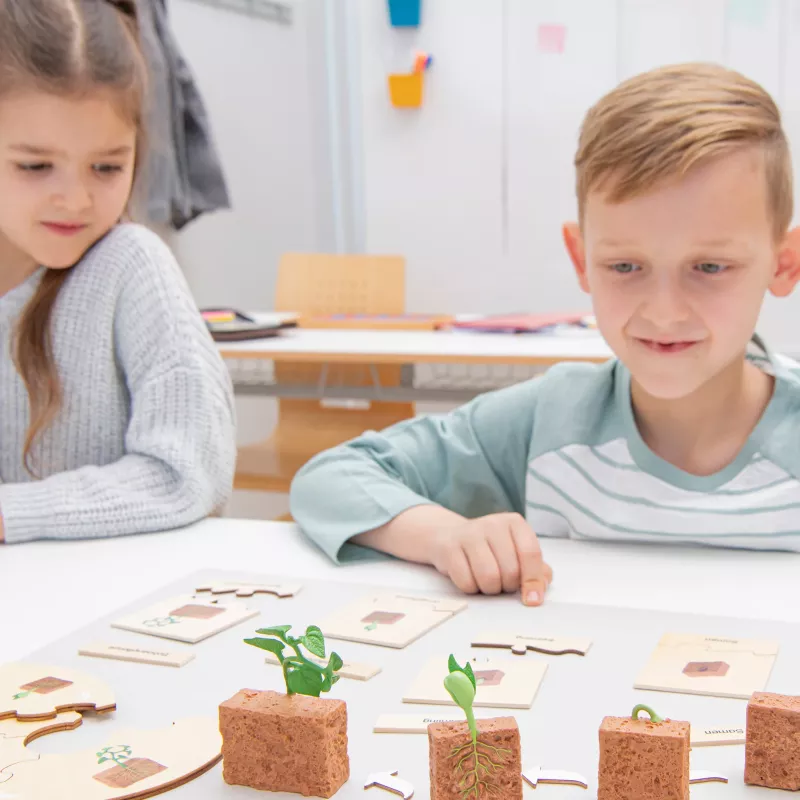 Brettspiel, Bildungsset, Pflanzenkacheln, Holzblöcke, Mini-Pflanzen