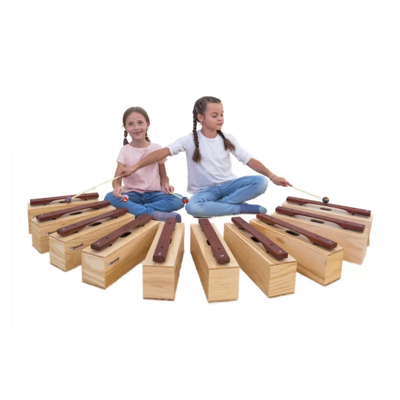 Holzblockflöte, Schlaginstrument, Xylophon, Kinder, Satz