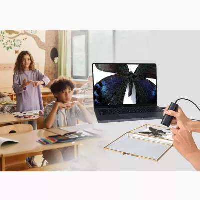 Laptop, Schmetterlingsbild, Display Bildschirm, Schreibwaren, Klassenzimmer-Szene