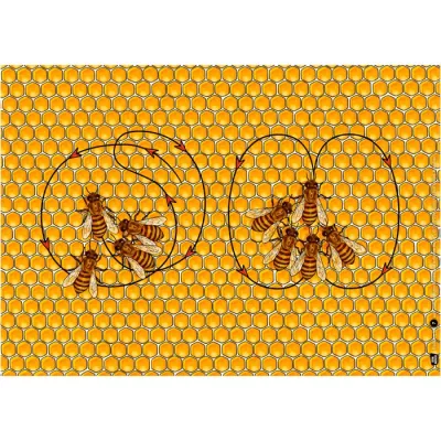 hon eycomb, b ees, beeh ive, honey comb, insects