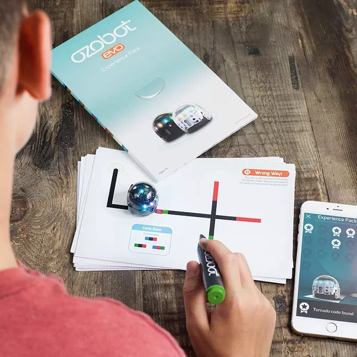 robotik, Code-Kit, Bildung, Serviceroboter, Lernanleitung