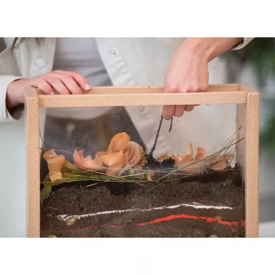 Terrarium, Glasaufbau, Deko, Erde, Pflanzenreste