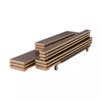 Holzleiter, faltbar, Schnittguß, Rollwagen, Stufenleiter