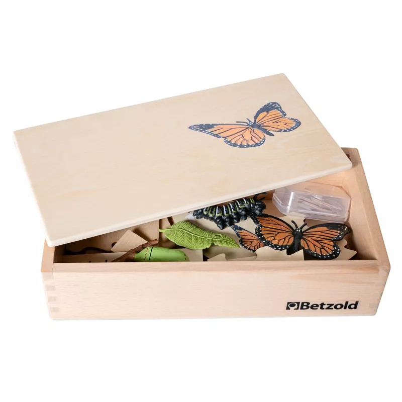 Holzbox, Insektenbox, Schmetterling, Naturholz, Aufbewahrung