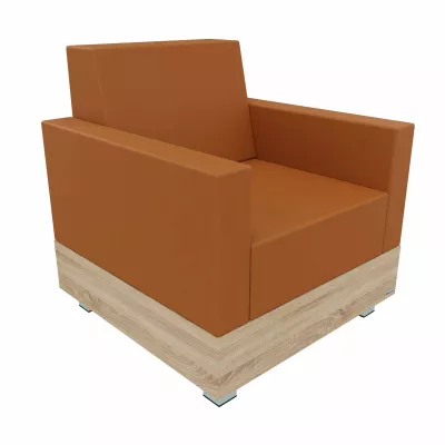 Sessel, Sofa, Orange, Leder, Holzbasis