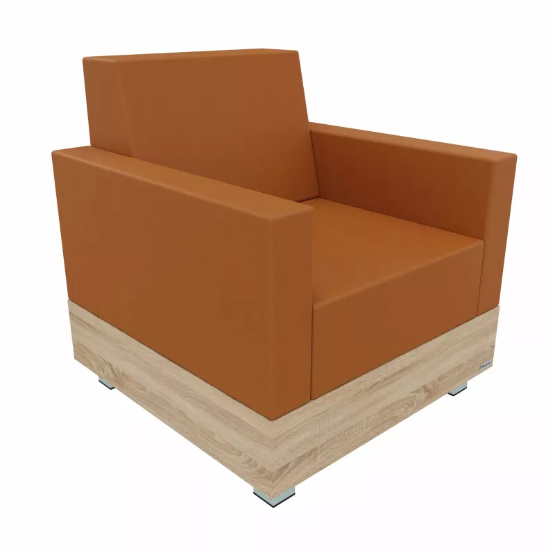 Sessel, Sofa, Orange, Leder, Holzbasis