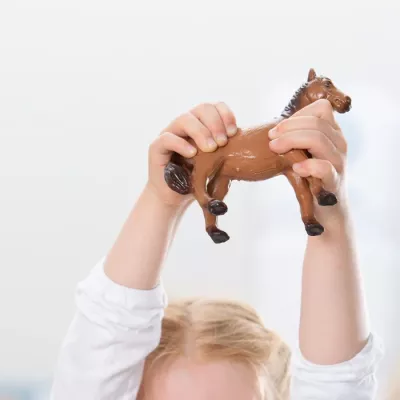 Spielzeug, Hochlandpferd, Schokoladenfigur, Miniaturpferd, Tiermodell