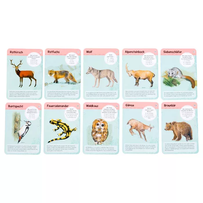 Wildtiere, Tierkarten, Reptilien und Säugetiere, Tierarten, Tierstämme