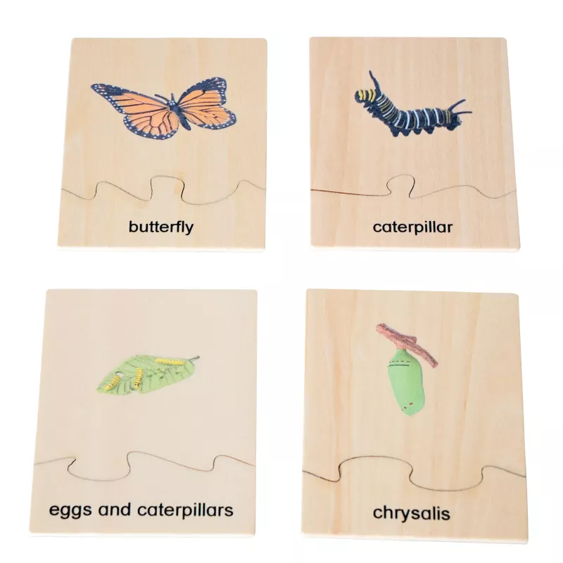 Schmetterling, Raupe, Eier und Raupen, Chrysalis, Holzpuzzle