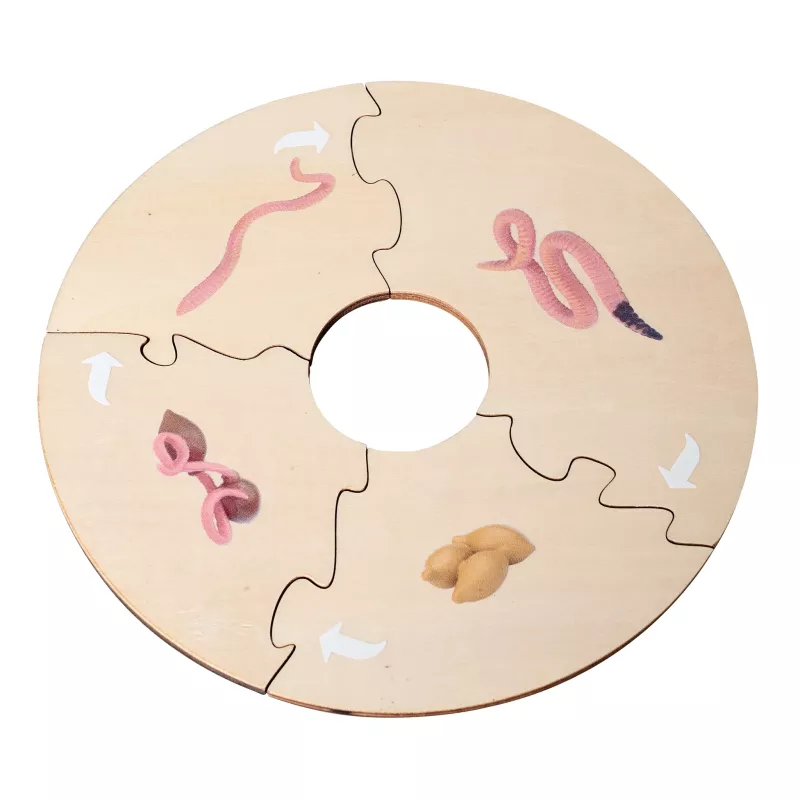 puzzle, holz, segmente, schlangen, nüsse