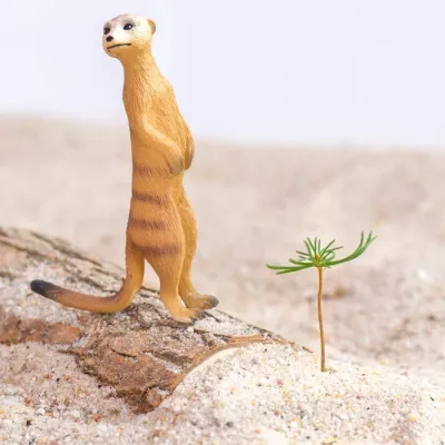 figurine, Meerkat, Sand, Toy, Miniature