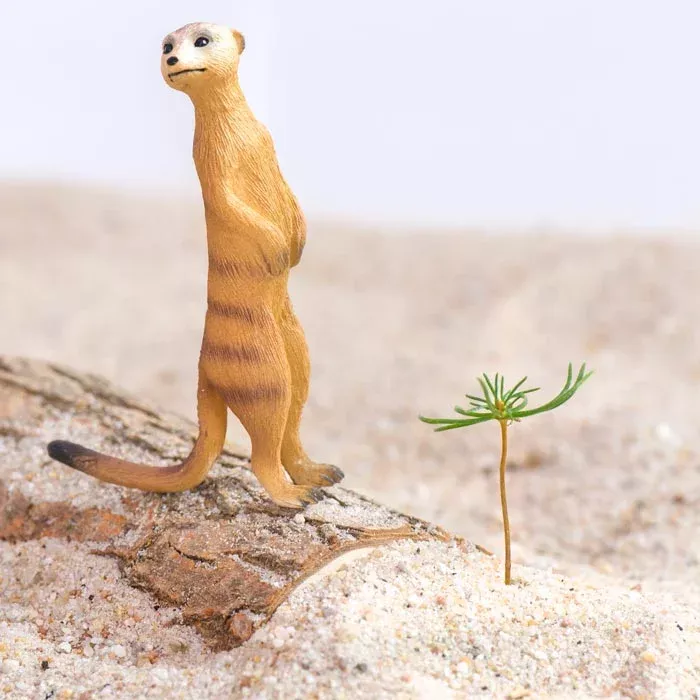 figurine, Meerkat, Sand, Toy, Miniature