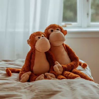 Spielzeug, Affe, Plüschtier, Paar, Kuscheltier