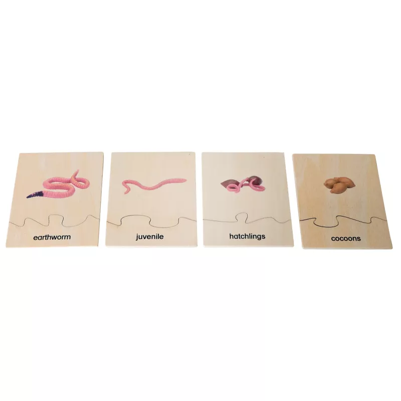 earthworm, juvenile, hatchlings, cocoons, insect