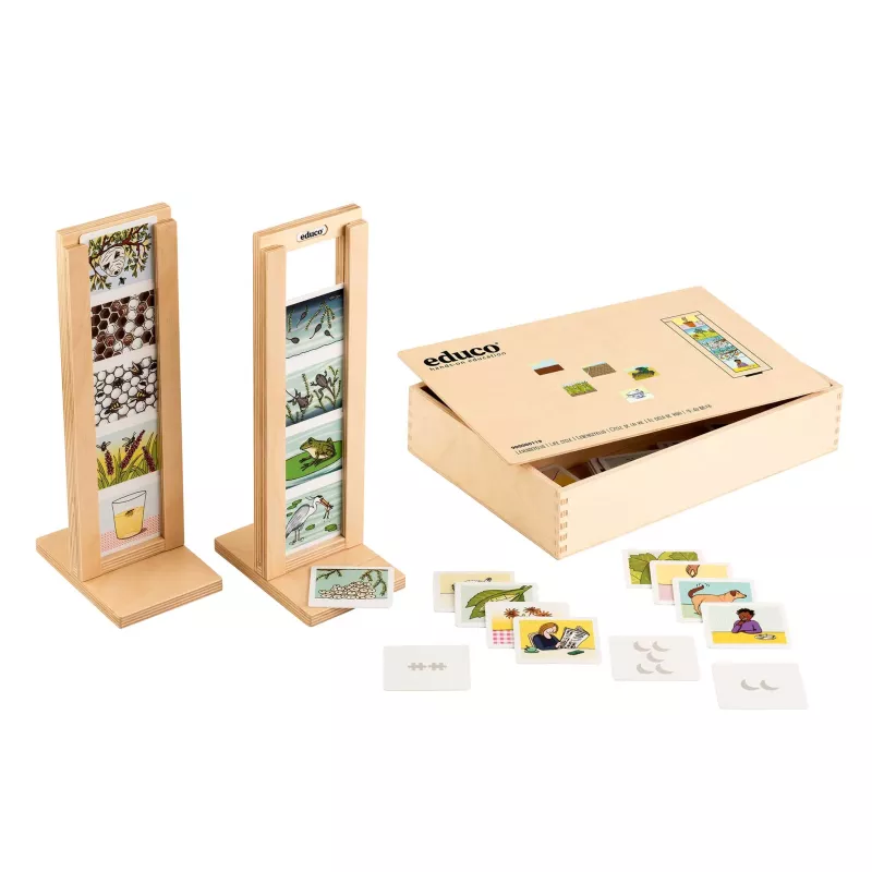 holz, lernset, karten, staender, magnetkarten