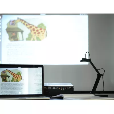 Projektor, Präsentation, Laptop, Schreibtisch, Giraffenbild