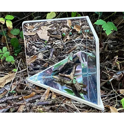 Spiegel, zerbrochene Spiegelfläche, Glassplitter, Spiegelglas im Freien, Laub und Zweige