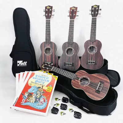 Ukulele, Holzmaserung, Saiteninstrument, Koffer/Gehäuse, Kinderbuch/Lehrmaterial
