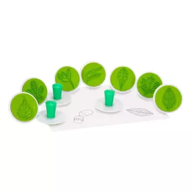 10 Riesenstempel Blätter & Früchte