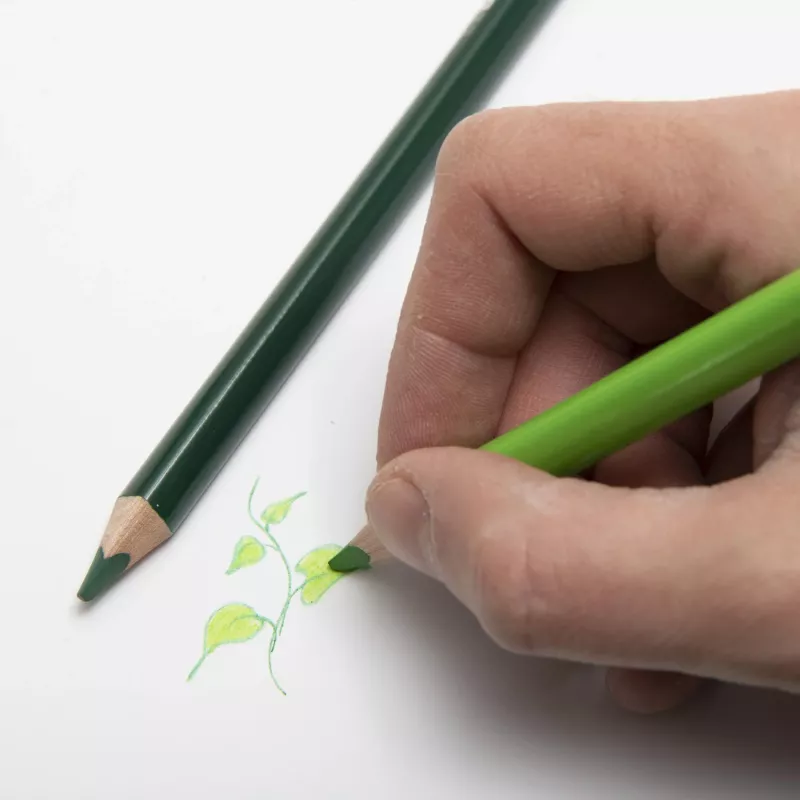 Bleistift, Kunstzeichnung, Grün, Pflanzenzweig, Skizze