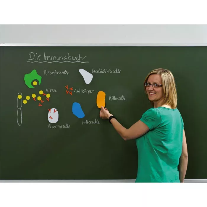 Tafelbild, Biologie Unterricht, Immunabwehr, Lehrerin, Chalkboard