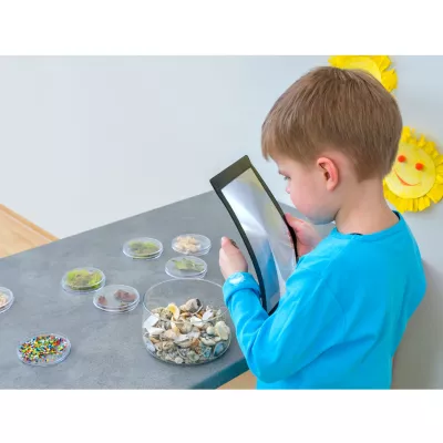 Tisch, Tabletop, Muscheln, Muschel-Sammlung, kleine Spielzeuge