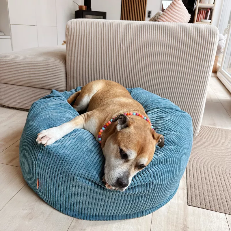 hund, korb, baumwolle, blau, pet bed
