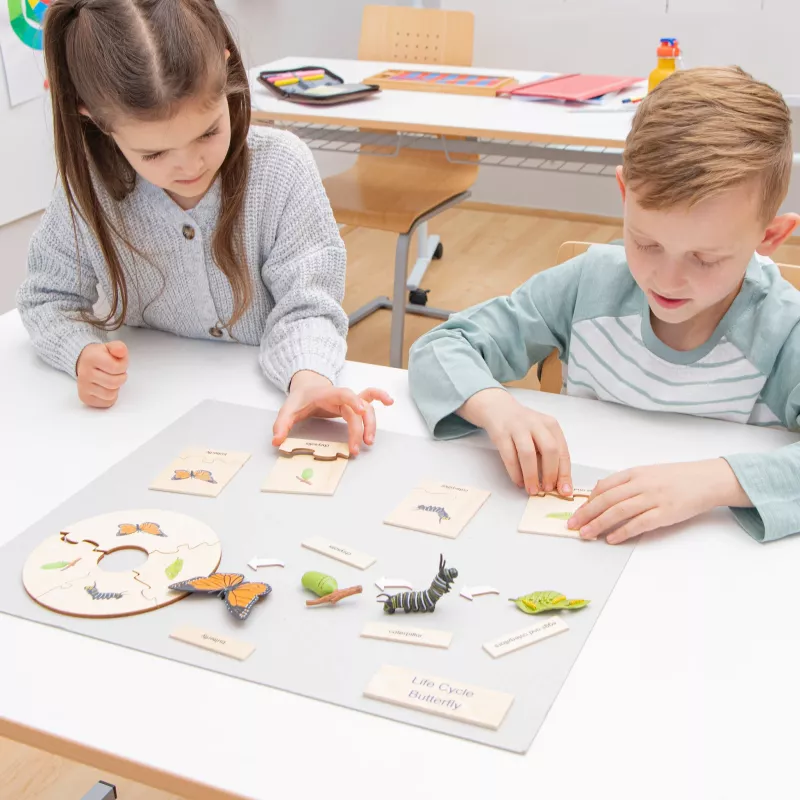 pädagogisches spiel, bildungsspiel, kinderspielzeug, lernelemente, schmetterling
