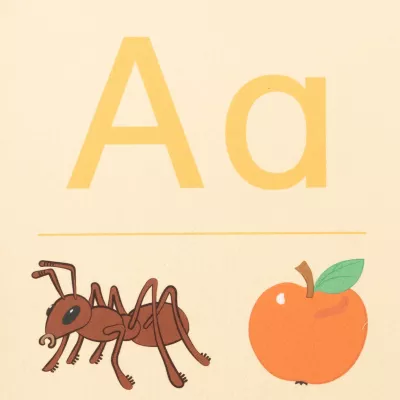 ant, orange, fruit, linie, illustration