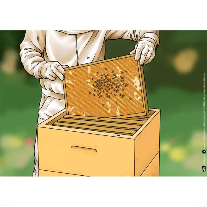 Bienenkorb, Beute, Beutenkasten, Wabenstock, Imkern