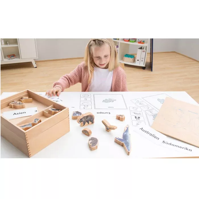 Holzspielzeug, Lernspiel, Puzzlespiel, Kartenmaterial, Weltkarte