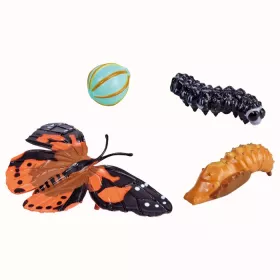 Lebenszyklus-Figuren: Schmetterling