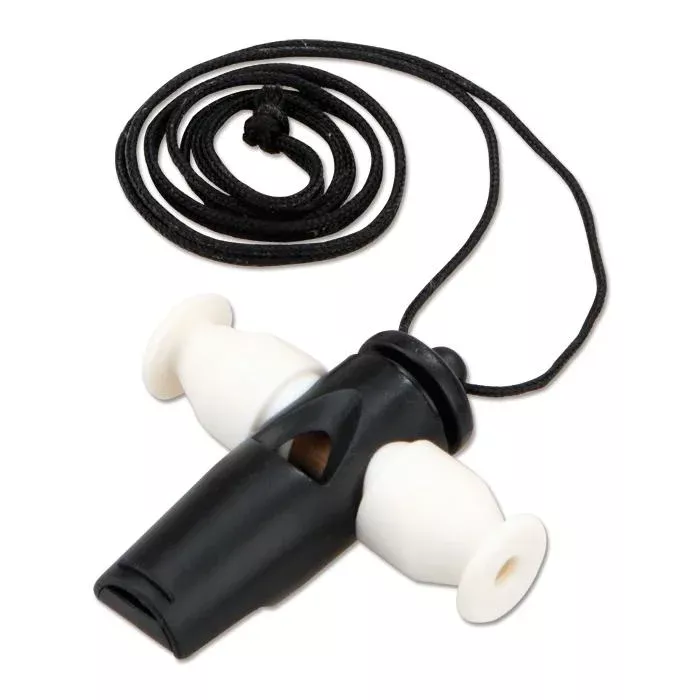 earphones, cord, necklace?