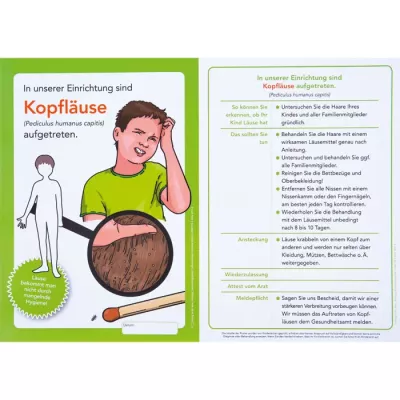 Kopfläuse, Kopfhaut, Läusebekämpfung, Infografik, Hygiene Hinweis