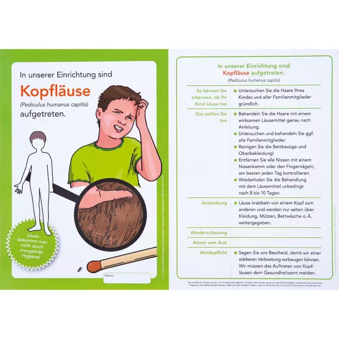 Kopfläuse, Kopfhaut, Läusebekämpfung, Infografik, Hygiene Hinweis