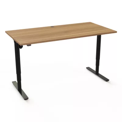 Rechteck-Schreibtisch, höhenverstellbar, T-Fuß, Höhe 65 – 125 cm