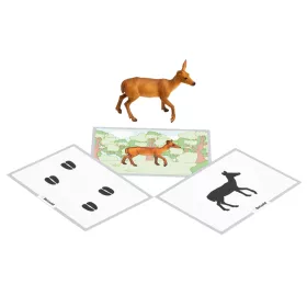 Waldtiere zuordnen