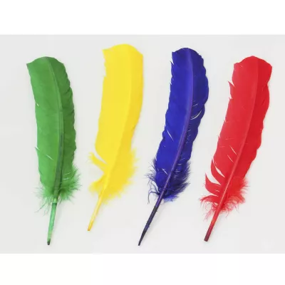 Feder, Federpracht, Bunte Feder, Farbige Feder, Dekofedern