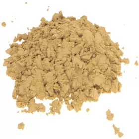 Der lebendige Sand