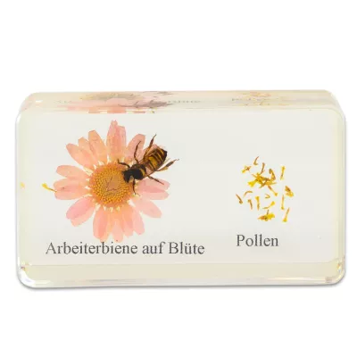 Arbeiterbiene, Blüte, Pollen, Honigbiene, Pollenstaub